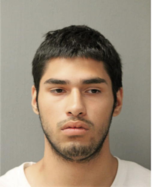 RENO GONZALEZ, Cook County, Illinois