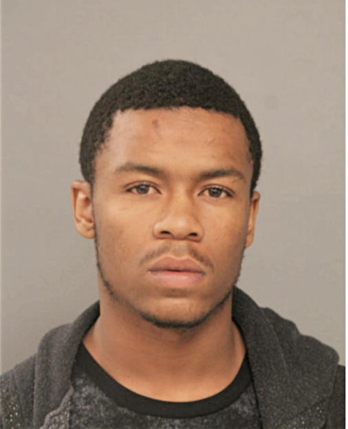 JAMARI A GOODMAN, Cook County, Illinois