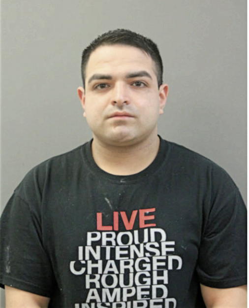 LUIS A HERRERA-RAZO, Cook County, Illinois
