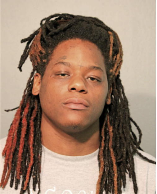 THEOTIS L HOLOCOMB, Cook County, Illinois