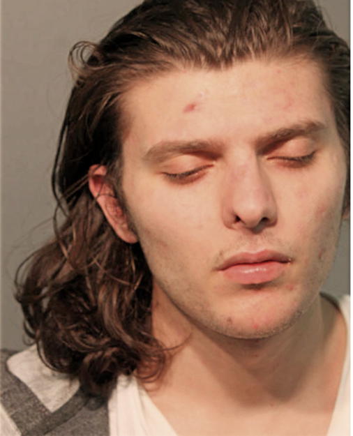PAUL S IBRAHAM, Cook County, Illinois