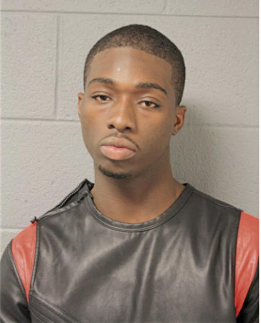 DEANDRE J JOHNSON, Cook County, Illinois