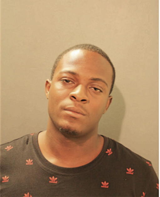 TONY L LOVE, Cook County, Illinois