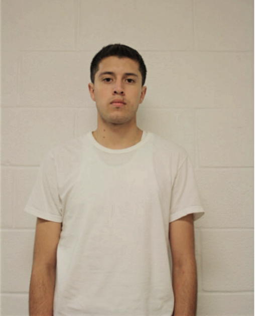 DARWIN P MOLINA, Cook County, Illinois