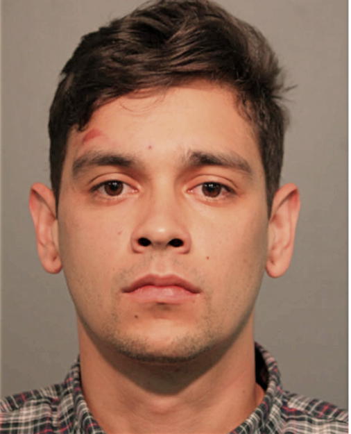 JOHN CRUZ NORMAN, Cook County, Illinois