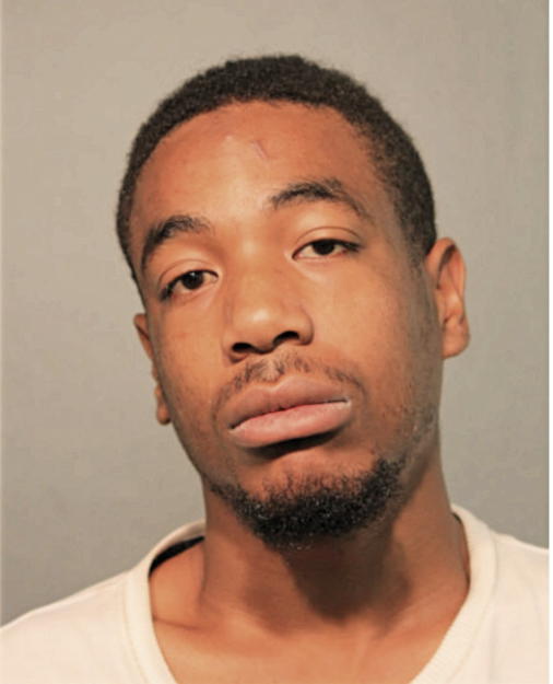 DAMIEN S RICHARDSON, Cook County, Illinois