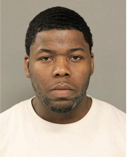 JULIAN M ROSS, Cook County, Illinois