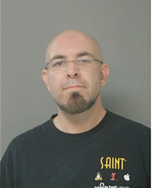 DAVID A RYAN, Cook County, Illinois
