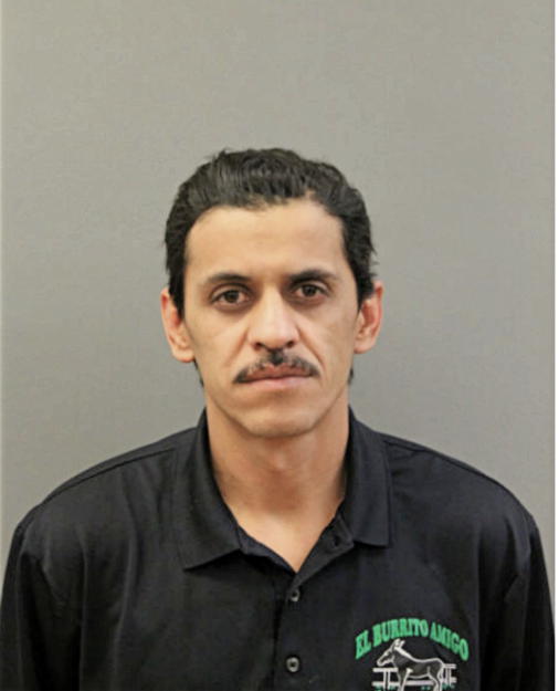 JOSE L TORRES, Cook County, Illinois