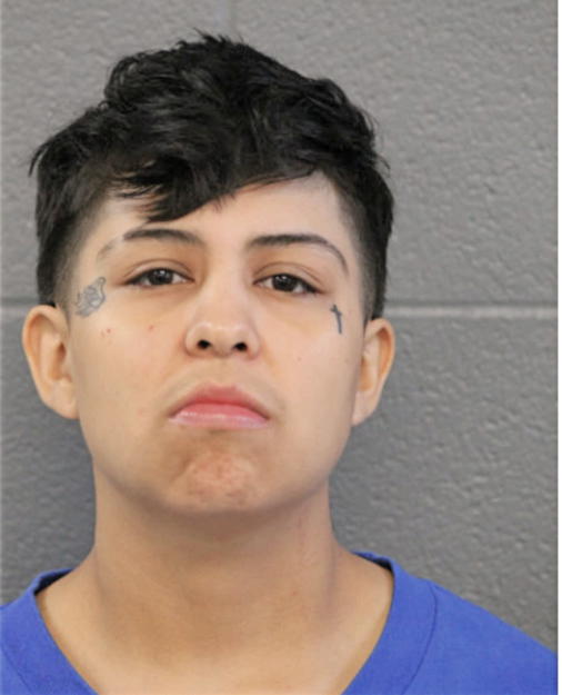ROSIE Y VARGAS, Cook County, Illinois