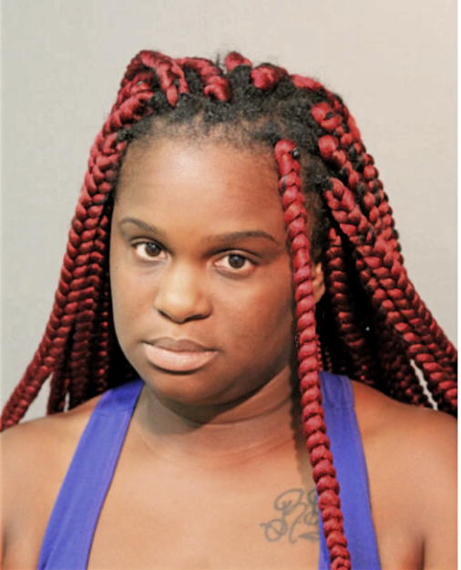 ASHLEY A ANDERSON, Cook County, Illinois