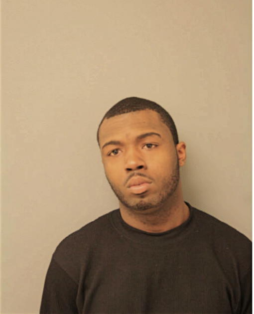 MICHAEL L CUNNINGHAM, Cook County, Illinois
