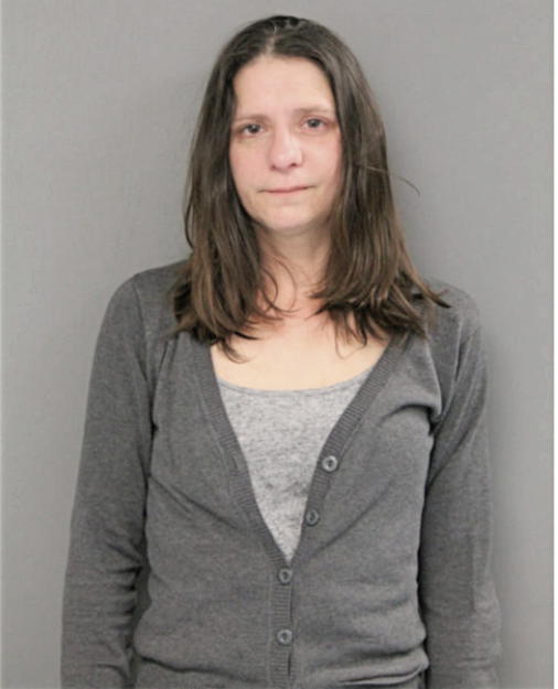 ELIZABETH A DE PHILLIPS, Cook County, Illinois