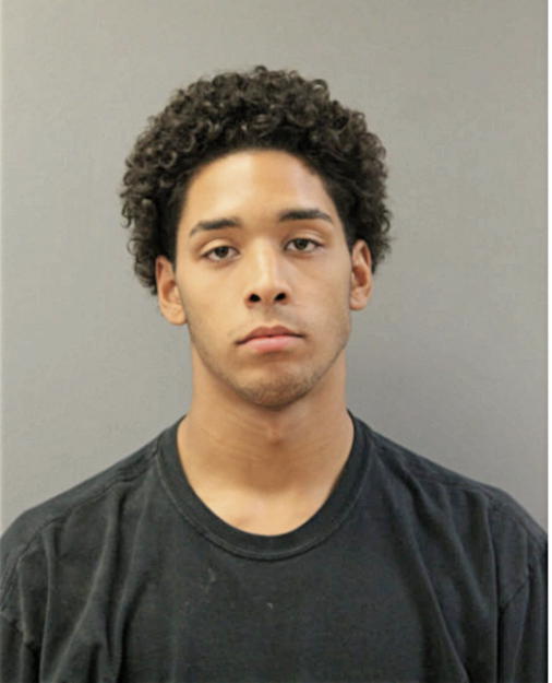 ELIAS P DUNN, Cook County, Illinois