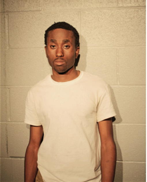 CHARLES N EVANS, Cook County, Illinois
