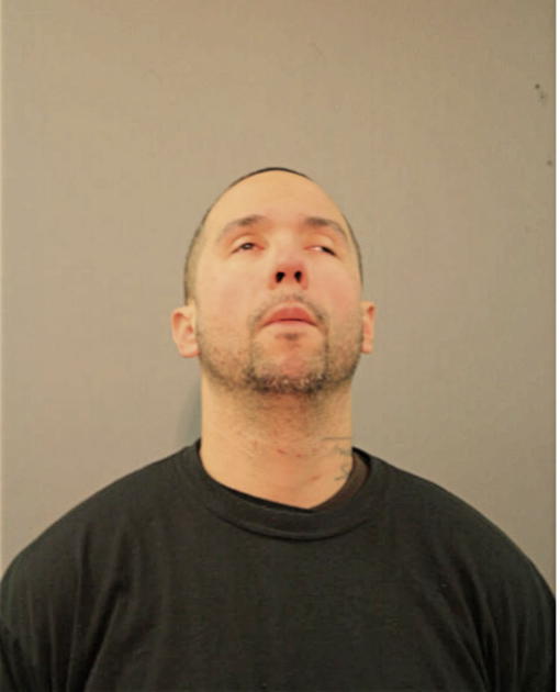MARTIN M FELICIANO, Cook County, Illinois