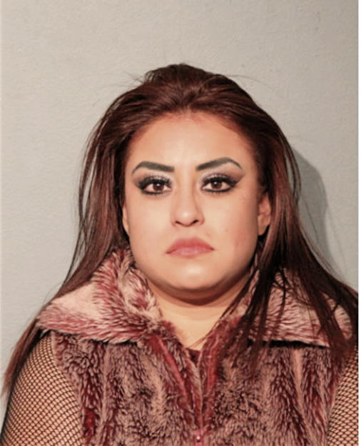 FLOR ELIZABETH GARCIA-MEZA, Cook County, Illinois