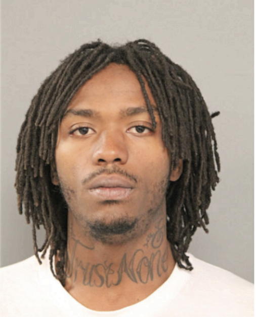 TERRENCE T HAMMOND, Cook County, Illinois