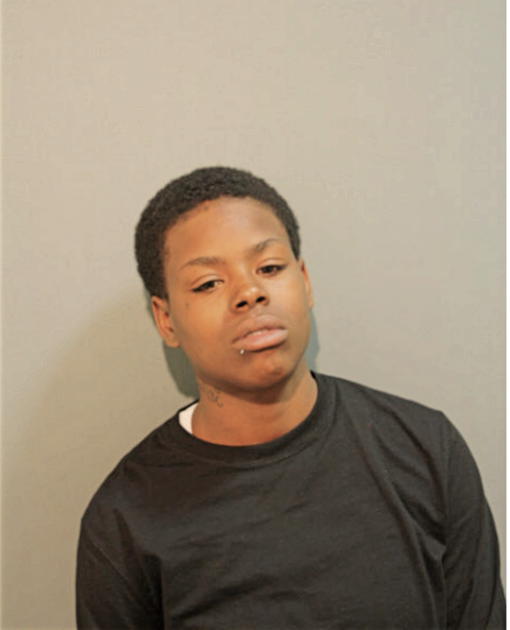 BRITTANY L HARDY, Cook County, Illinois