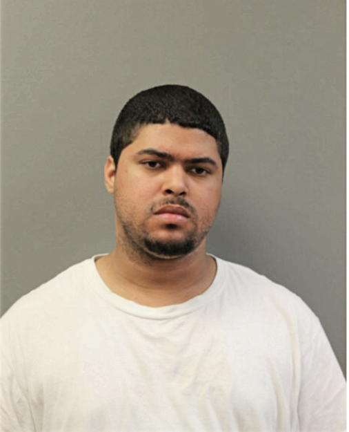 STEPHEN C HARRIS, Cook County, Illinois