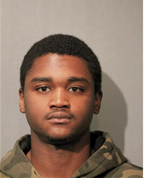 ERICK R JOHNSON, Cook County, Illinois