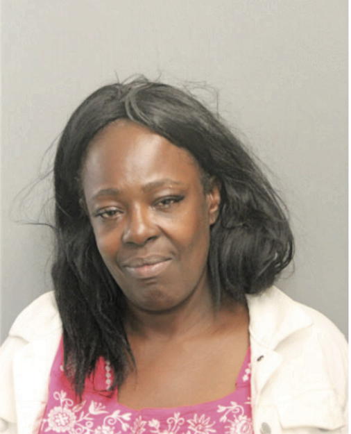 MARY E JONES, Cook County, Illinois