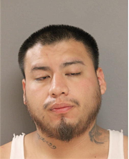 HOGUER MARTINEZ, Cook County, Illinois