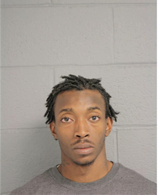 KENNETH J NEAL, Cook County, Illinois