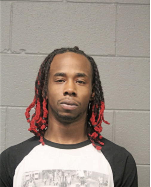 CHRISTOPHER C NELSON, Cook County, Illinois