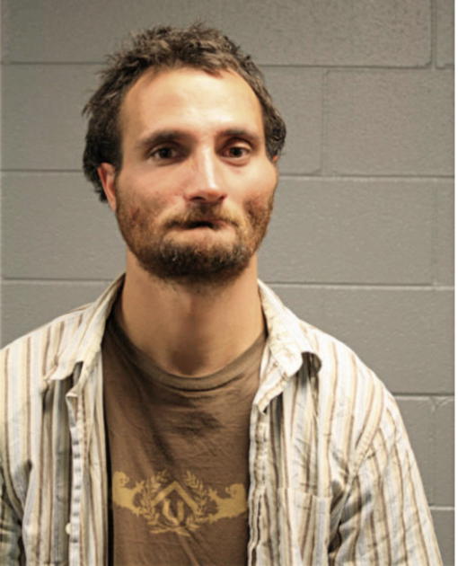 DENNIS A OLBERG, Cook County, Illinois