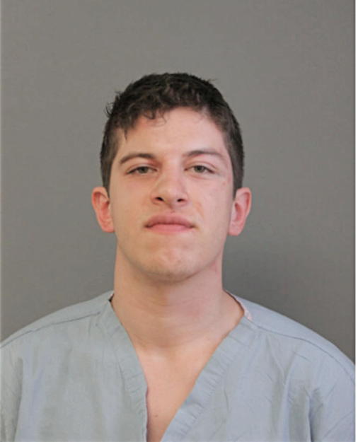 JOSE L PAREDES, Cook County, Illinois