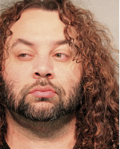 MICHAEL V REYES, Cook County, Illinois
