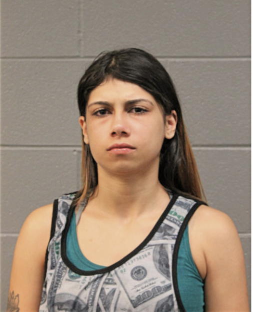 ANGELISA R RUIZ, Cook County, Illinois