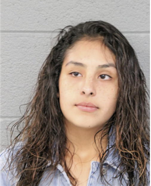ERIKA SALAS, Cook County, Illinois