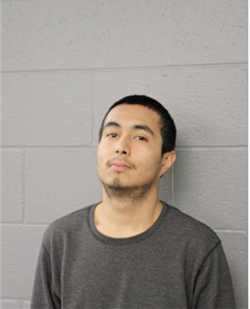 ALONSO ALMARAZ, Cook County, Illinois