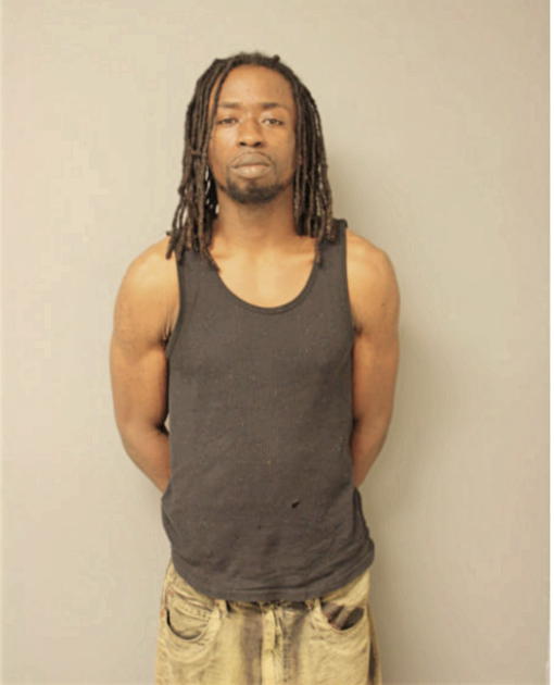 DION D ANDERSON, Cook County, Illinois