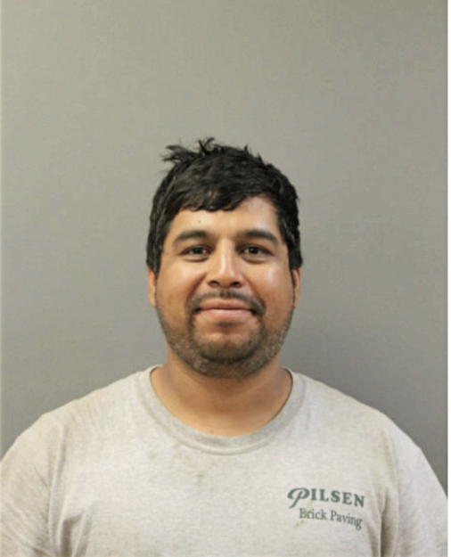 ANDY IVAN AVALOS, Cook County, Illinois