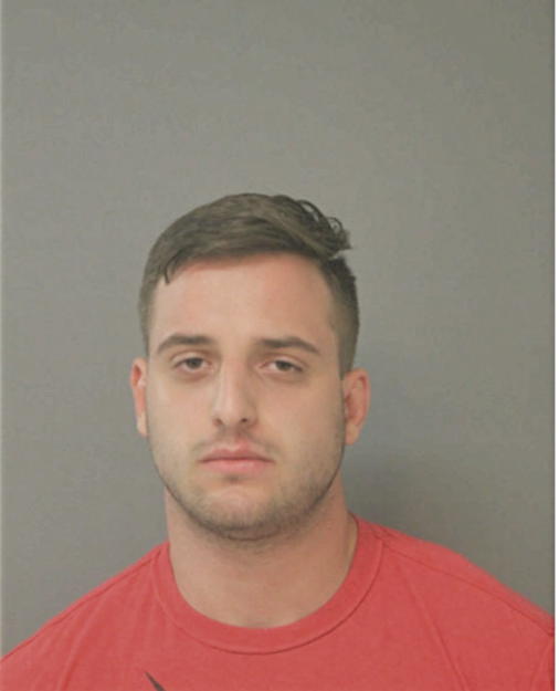SRDAN BODIROGIC, Cook County, Illinois