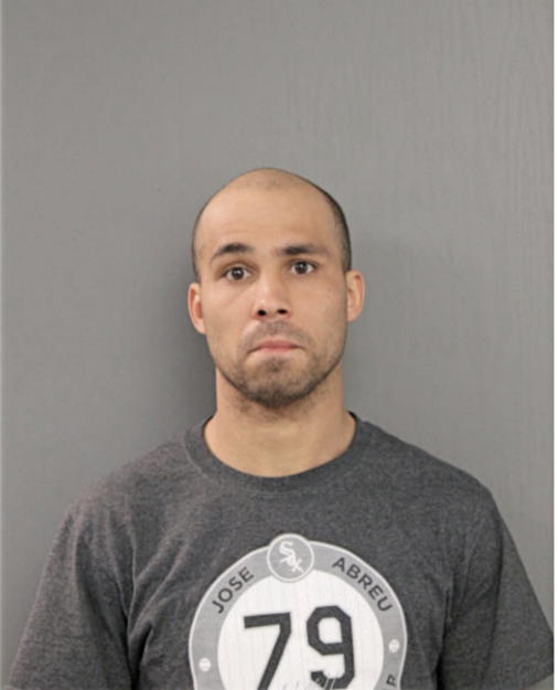 MICHAEL P BRENNAN, Cook County, Illinois