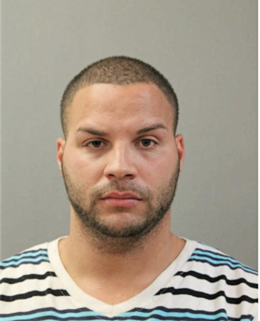 JOHNNY FONSECA, Cook County, Illinois