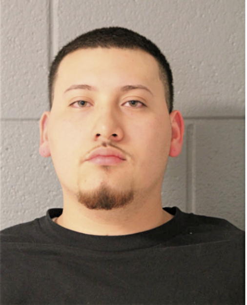 HUGO A GONZALEZ-LEMUS, Cook County, Illinois