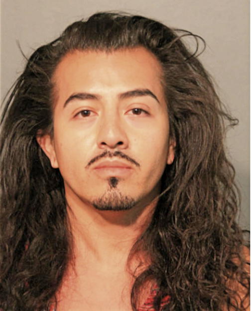 SERGIO OMAR GONZALEZ PEREZ, Cook County, Illinois