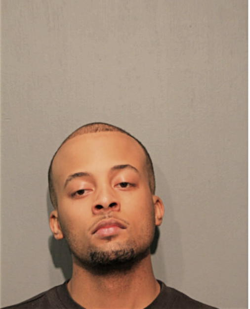 SHANNON R HENLY, Cook County, Illinois