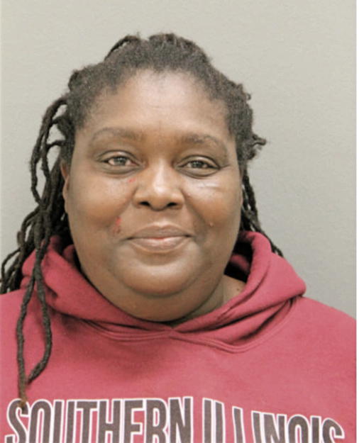 AMY JOE, Cook County, Illinois