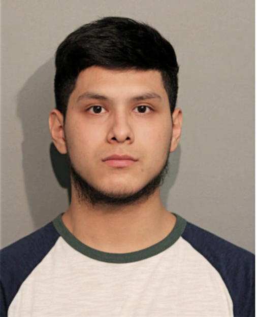 ROMARIO LEON, Cook County, Illinois