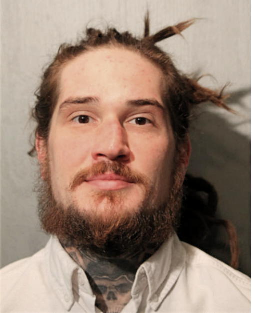 ANDREW A LEWIS, Cook County, Illinois