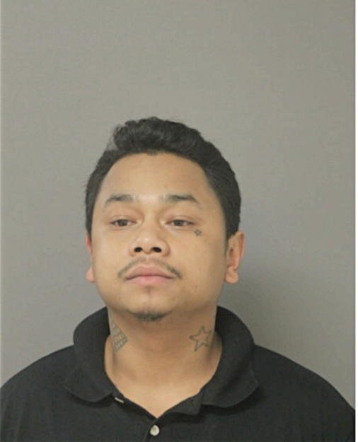 ANH LU, Cook County, Illinois