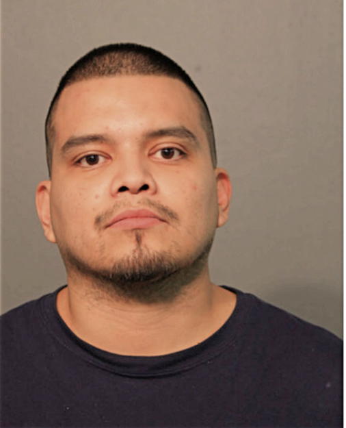 EDGAR U MARTINEZ, Cook County, Illinois