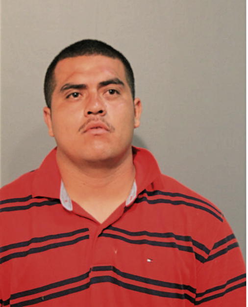 ARMANDO MEDINA, Cook County, Illinois