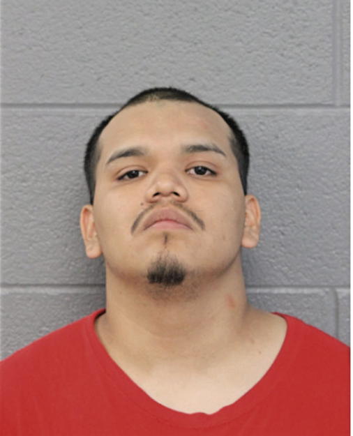 NOE MORALES, Cook County, Illinois